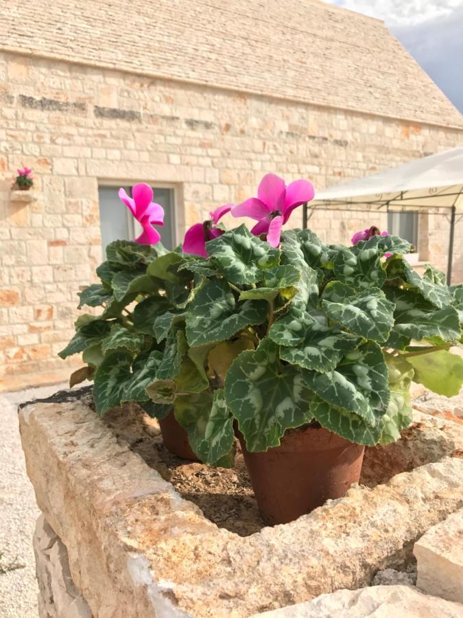 לוקורוטונדו Marinella Suite Home מראה חיצוני תמונה